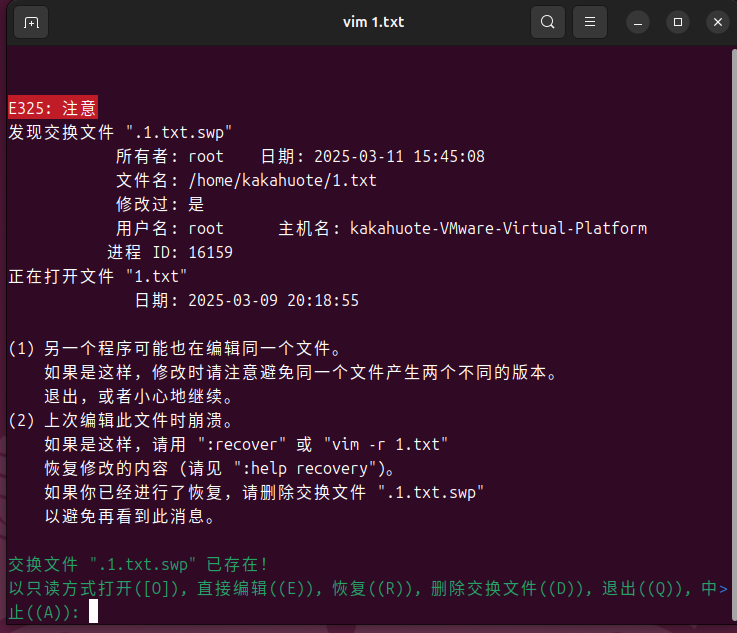 image-20250311194714710